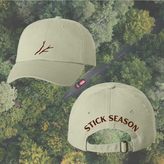 Stick Weather Dad Cap